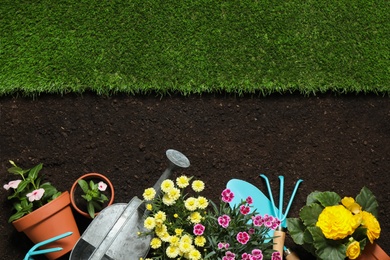 Flat lay composition with gardening equipment and flowers on soil, space for text