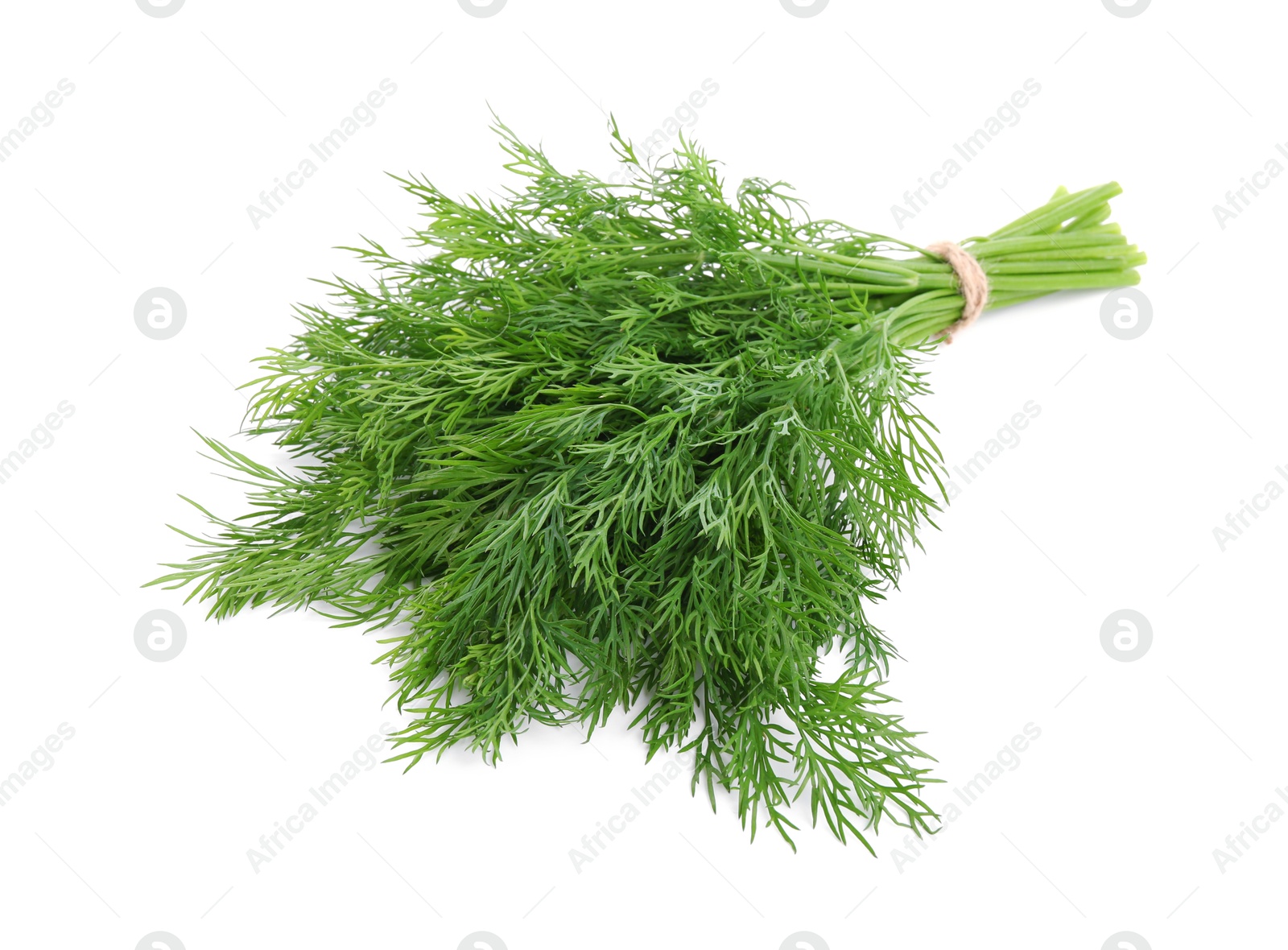 Photo of Bunch of fresh green dill isolated on white