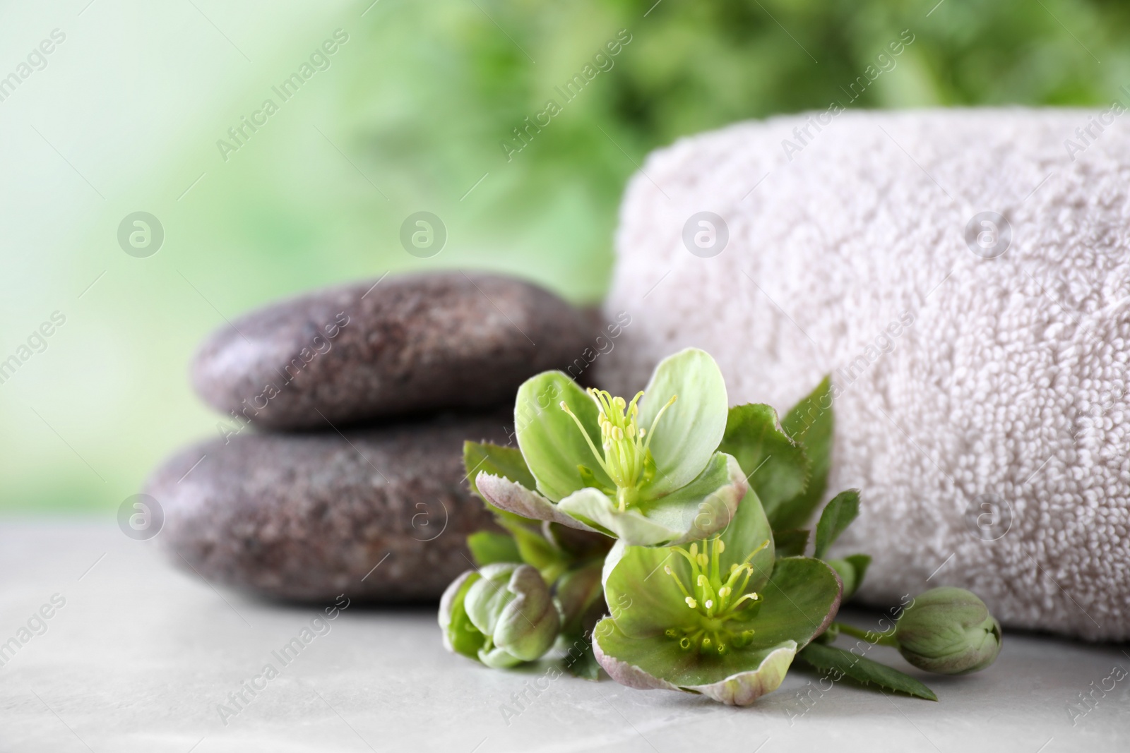 Photo of Composition with flowers, spa stones and towel on grey table against blurred background