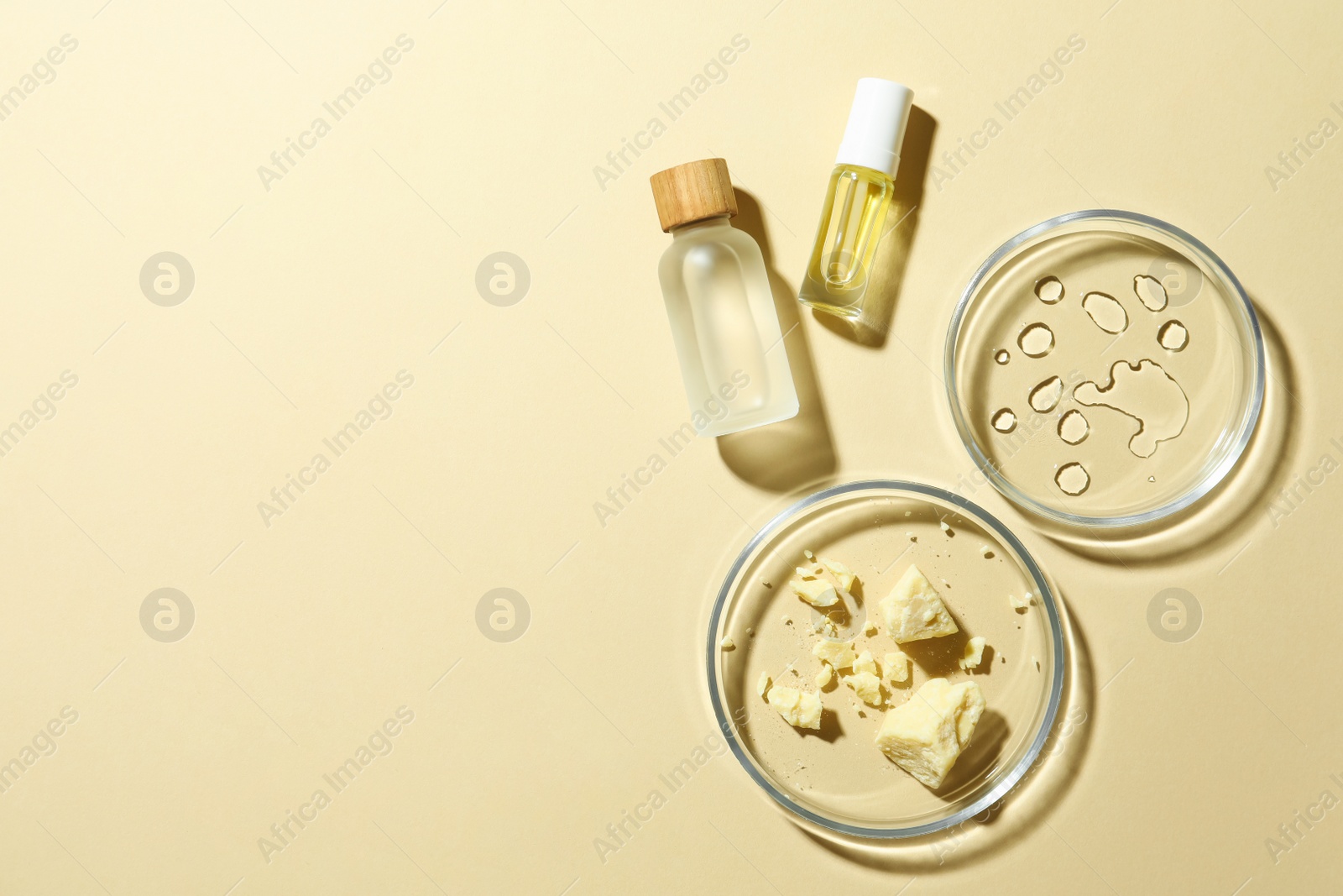 Photo of Many Petri dishes and cosmetic products on beige background, flat lay. Space for text