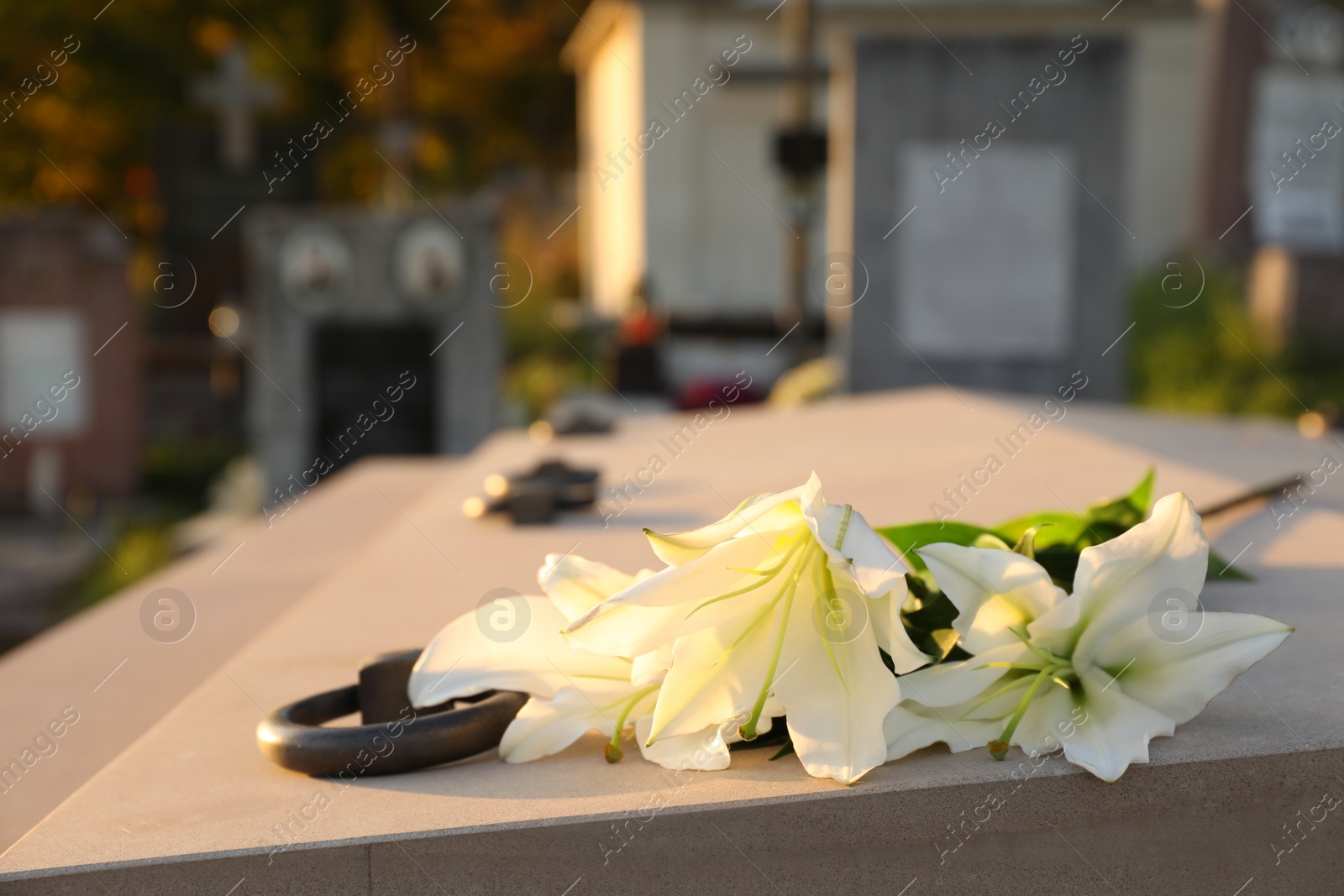 Photo of White lilies on tombstone outdoors, space for text. Funeral ceremony