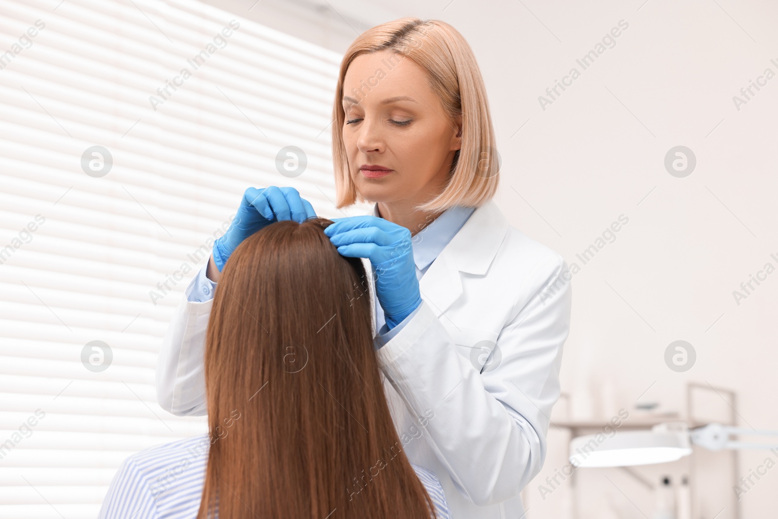 Photo of Trichologist in gloves examining patient`s hair in clinic