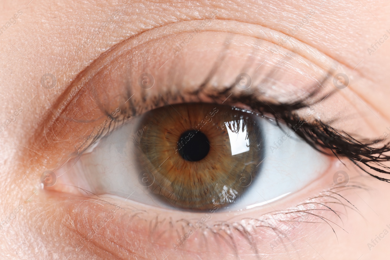 Photo of Macro photo of woman with beautiful eyes