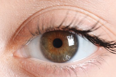 Macro photo of woman with beautiful eyes