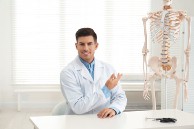 Male orthopedist at table near human skeleton model in office