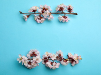 Photo of Beautiful blossoming branches with fresh spring flowers on color background, flat lay. Space for text