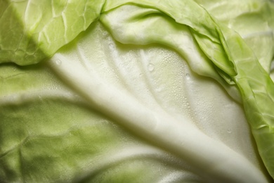 Photo of Fresh ripe cabbage leaf as background, closeup