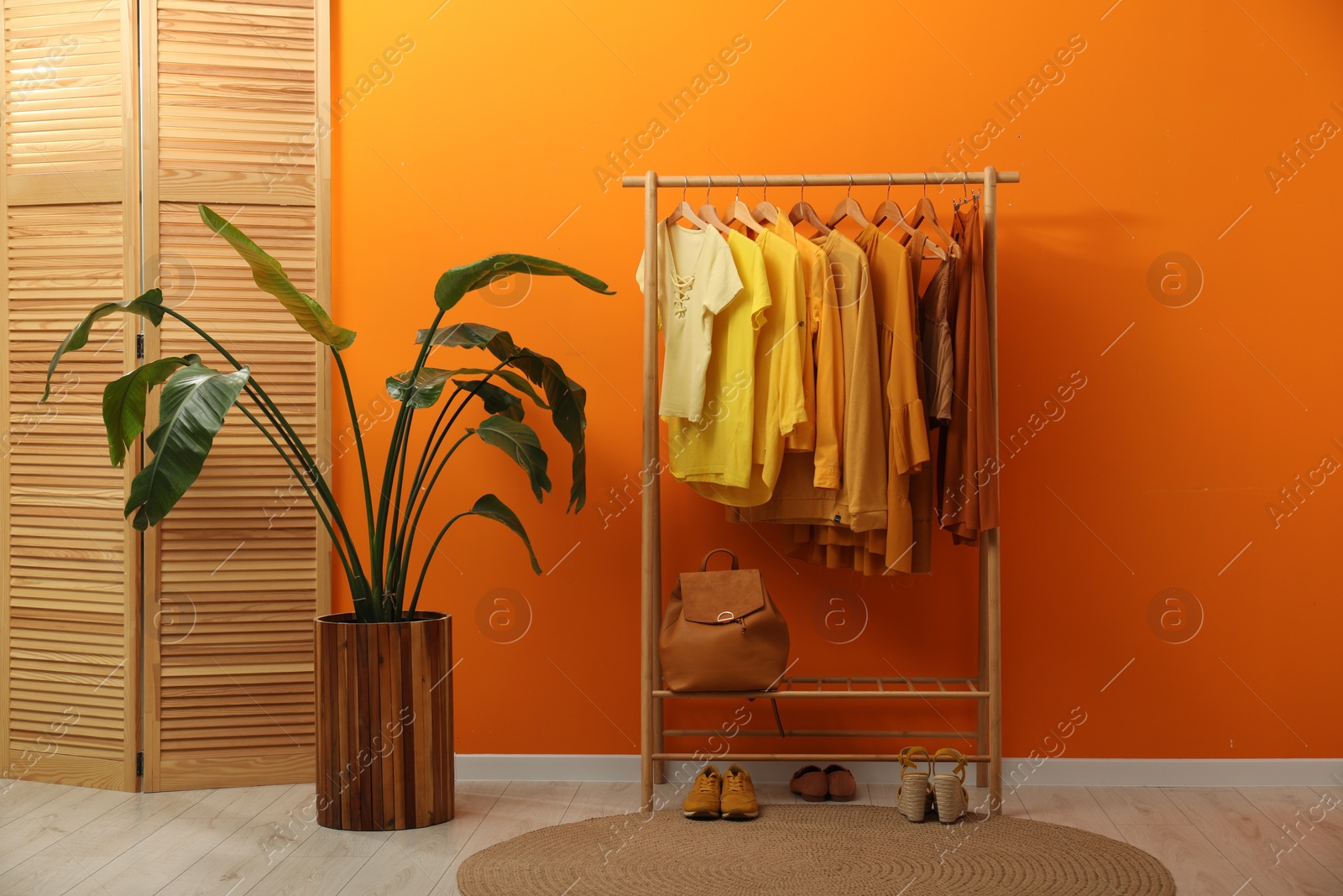 Photo of Rack with different stylish women`s clothes, shoes, backpack and green houseplant near orange wall indoors