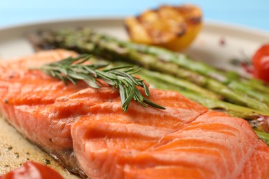 Tasty grilled salmon with rosemary on plate, closeup