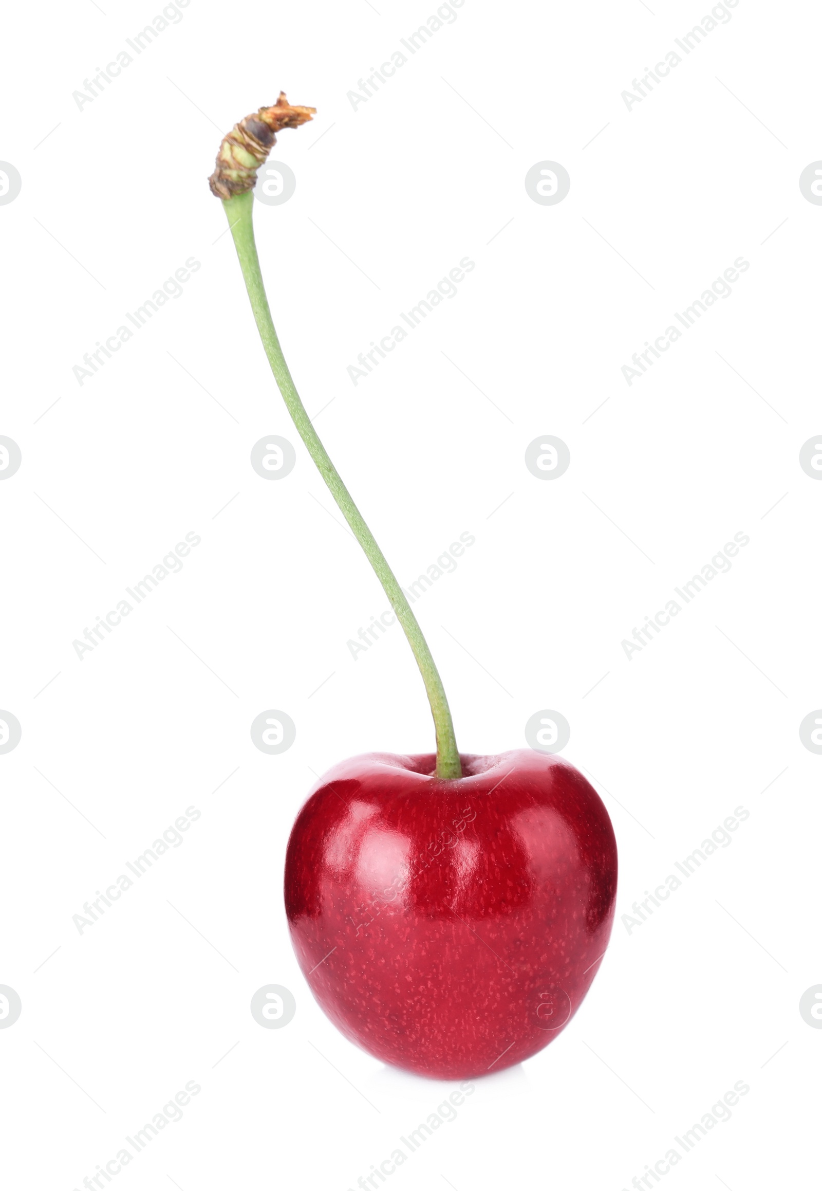 Photo of Delicious fresh ripe cherry isolated on white