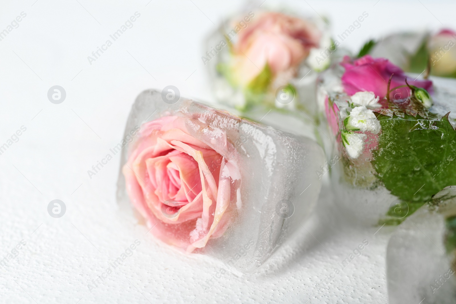 Photo of Ice cubes with flowers on white background, closeup