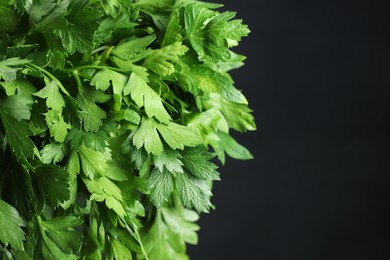 Photo of Fresh green parsley leaves on black background, closeup. Space for text