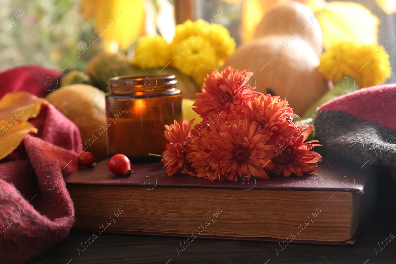 Photo of Beautiful orange chrysanthemum flowers, rosehip berries and scented candle on book. Autumn still life