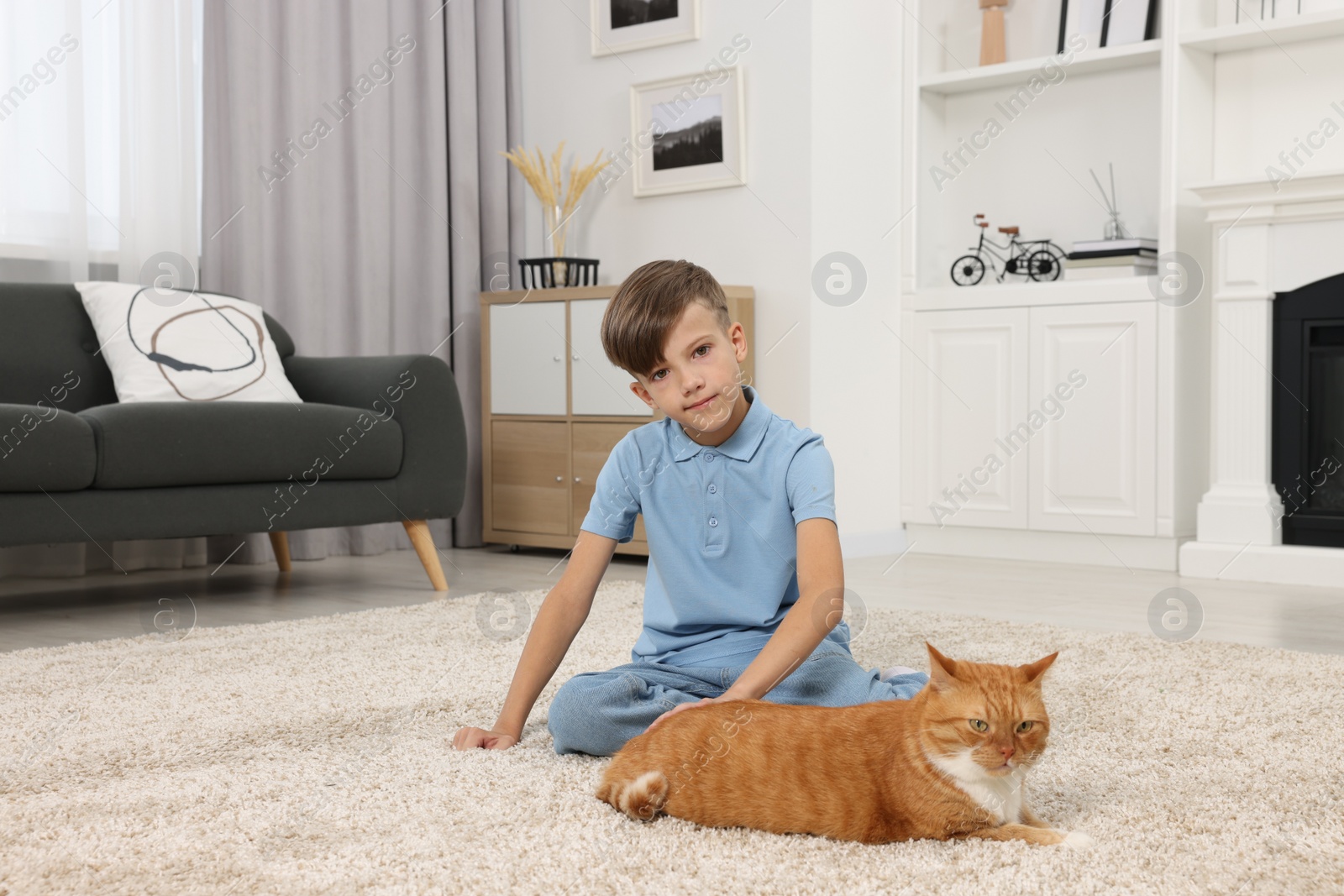 Photo of Little boy petting cute ginger cat on soft carpet at home