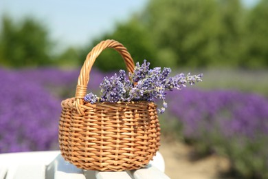 Photo of Wicker bag with beautiful lavender flowers on white wooden bench in field