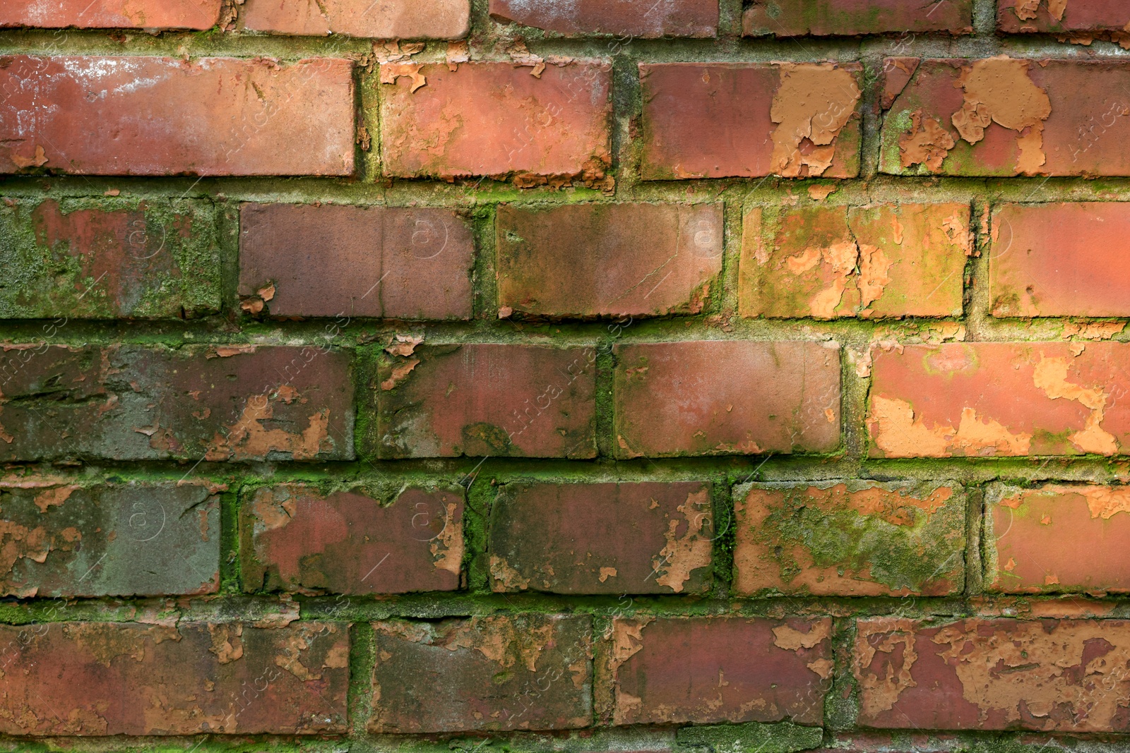 Photo of Brick wall overgrown with green moss outdoors, closeup