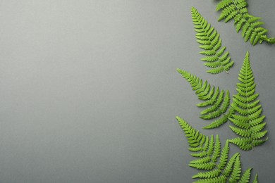 Beautiful tropical fern leaves on grey background, flat lay. Space for text