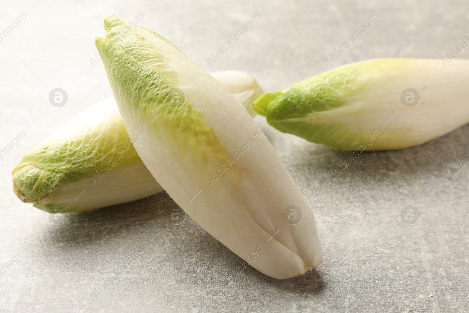 Photo of Fresh raw Belgian endives (chicory) on light grey table, closeup