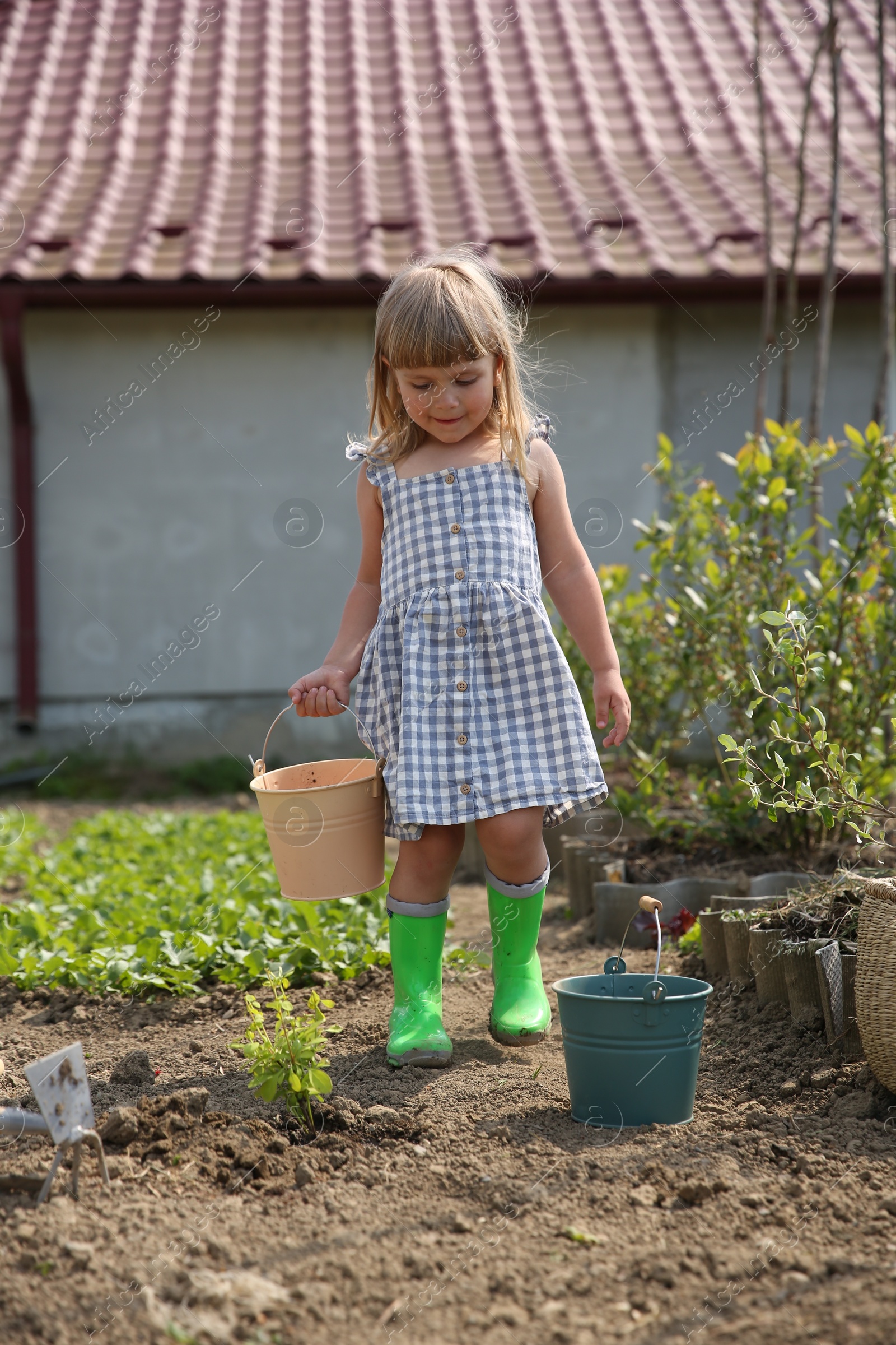 Photo of Cute little girl spending time in garden on spring day