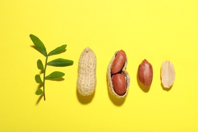 Fresh peanuts and twig on yellow background, flat lay