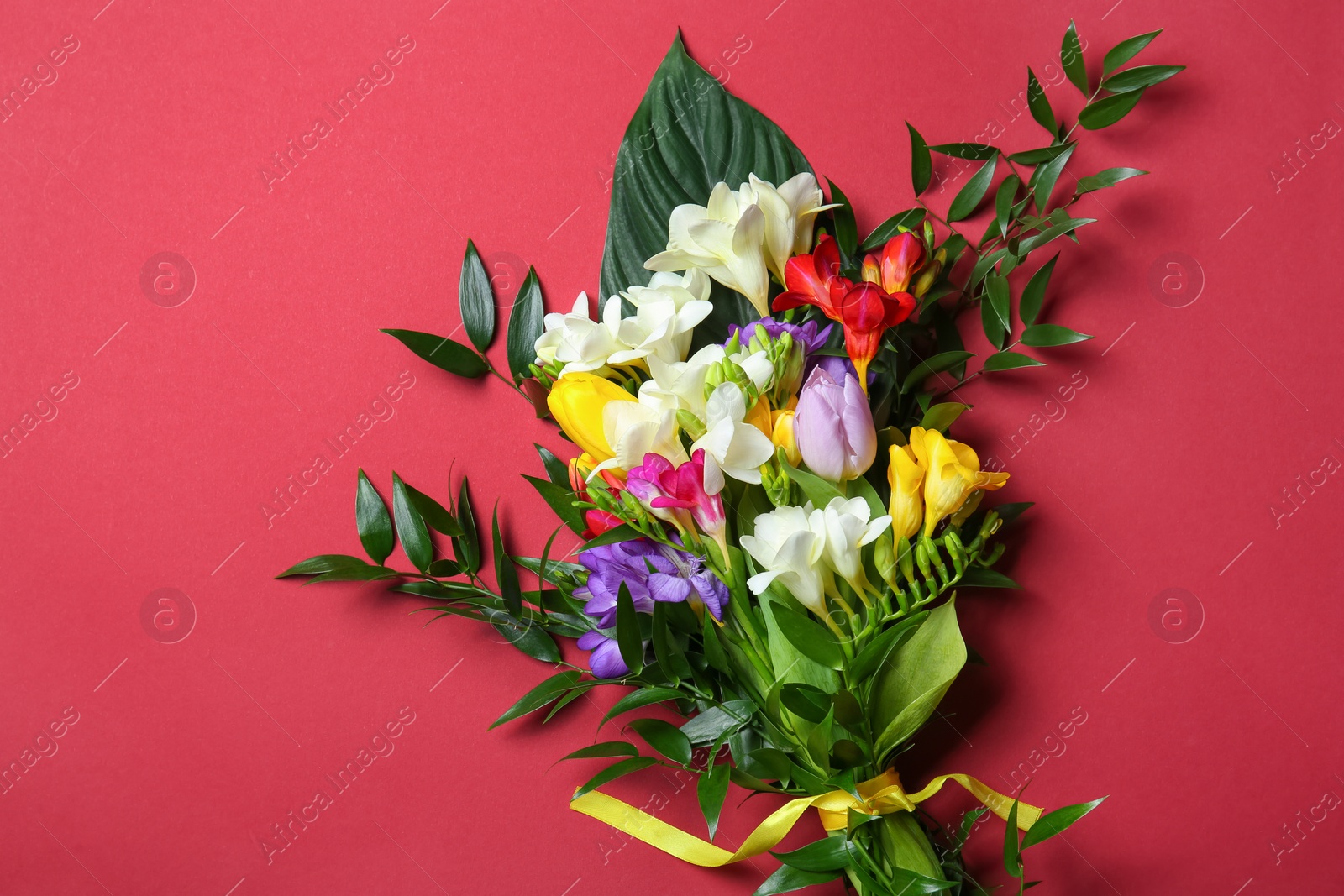 Photo of Beautiful freesia bouquet on color background