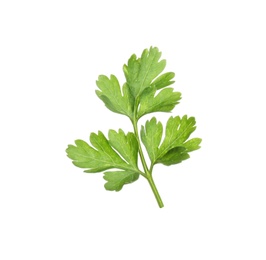 Leaves of fresh tasty parsley on white background, top view