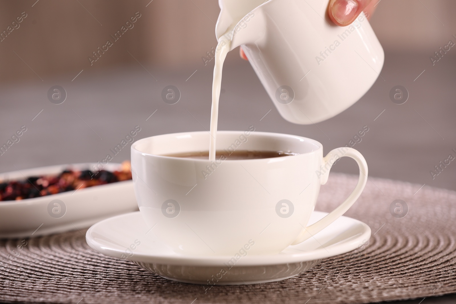 Photo of Woman pouring milk into cup with aromatic tea at table, closeup