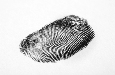 Photo of Black fingerprint on white background. Friction ridge pattern