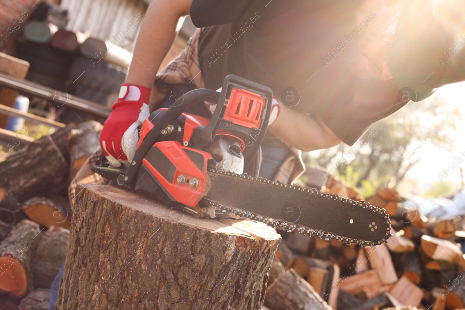 Photo of Man sawing wooden log on sunny day, closeup