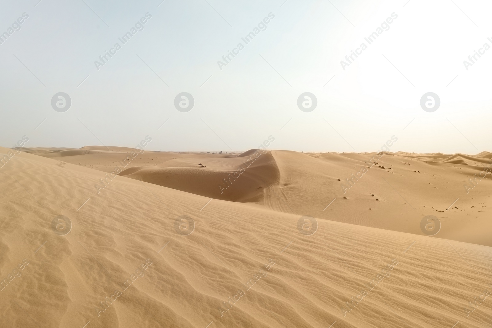 Photo of Picturesque landscape of sandy desert on hot day