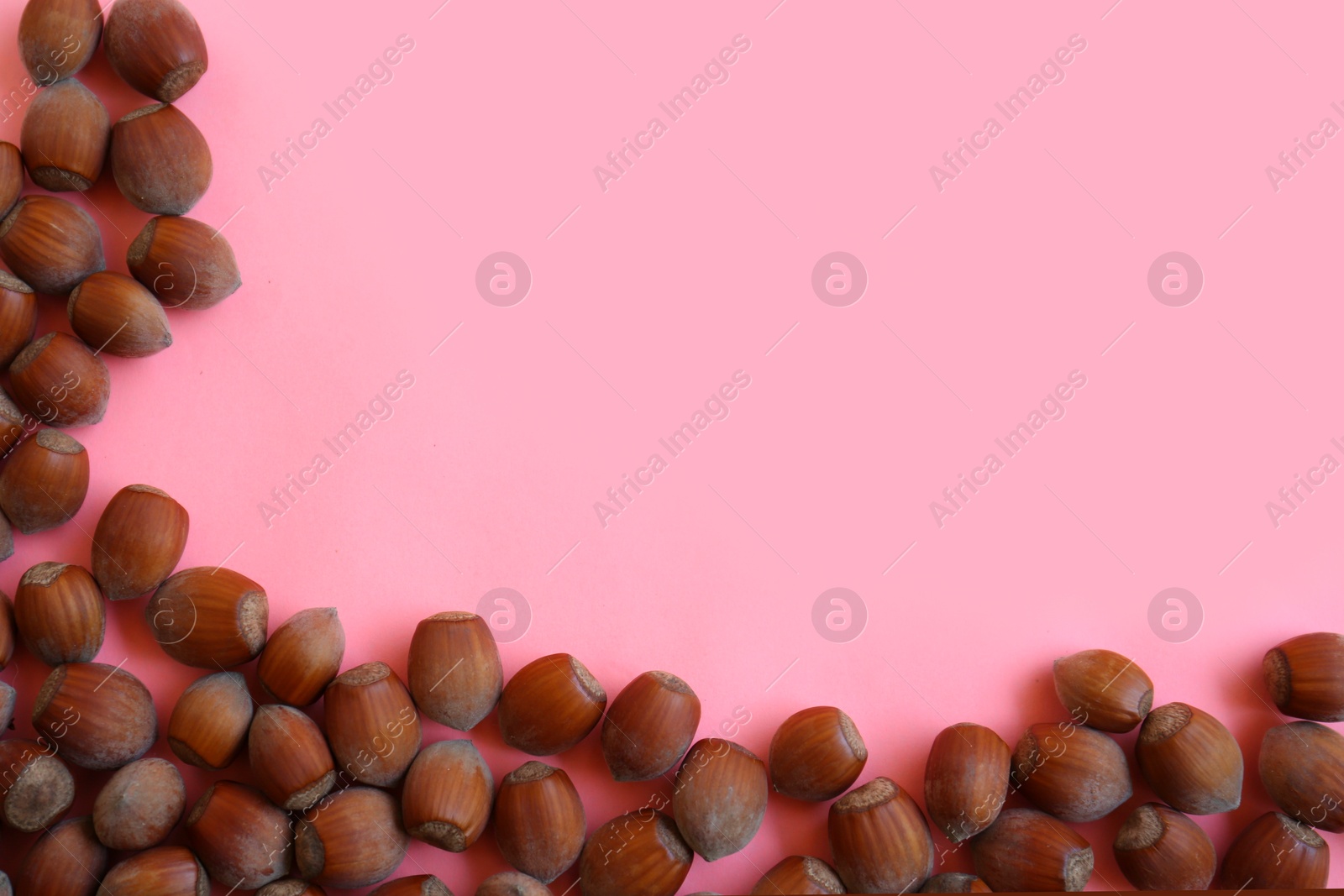 Photo of Many hazelnuts on pink background, flat lay. Space for text