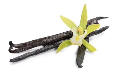 Photo of Vanilla pods and beautiful flower isolated on white