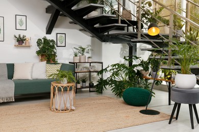 Stylish living room interior with comfortable sofa and green plants