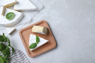 Photo of Delicious brie cheese with basil on light grey table, flat lay. Space for text