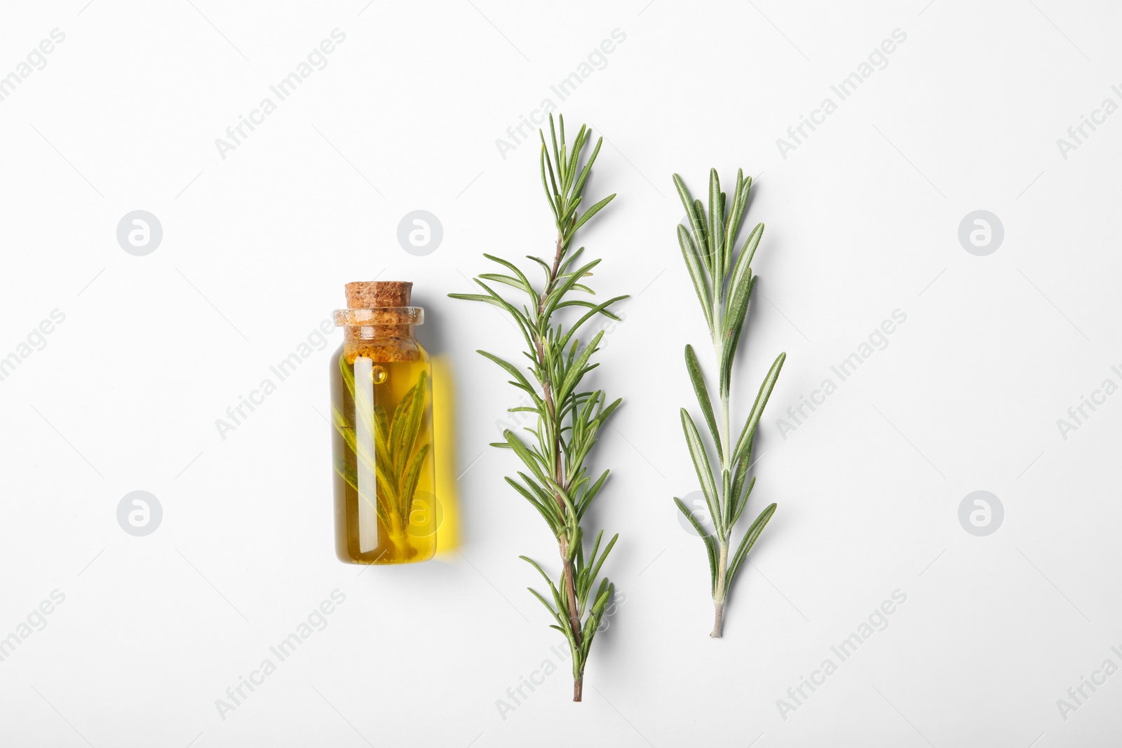 Photo of Composition with bottle of rosemary oil on white background, top view