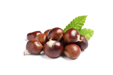 Fresh sweet edible chestnuts with green leaves on white background