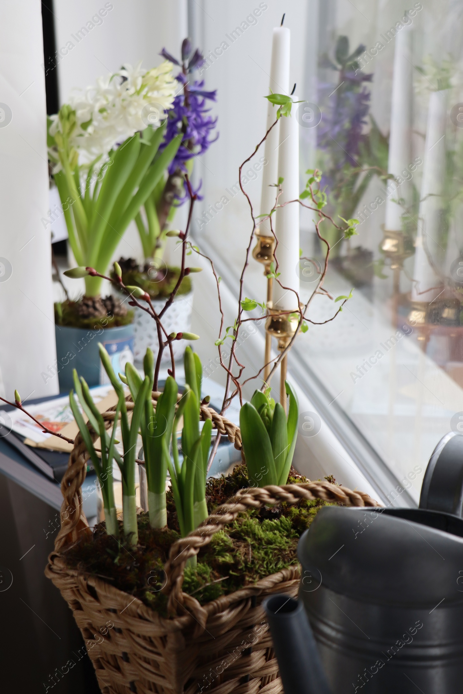 Photo of Beautiful spring plants and decoration on window sill