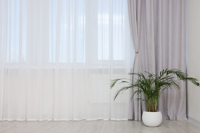 Photo of Stylish room interior with houseplant and beautiful window curtains. Space for text