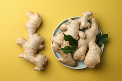 Fresh ginger with green leaves on pale light yellow background, flat lay