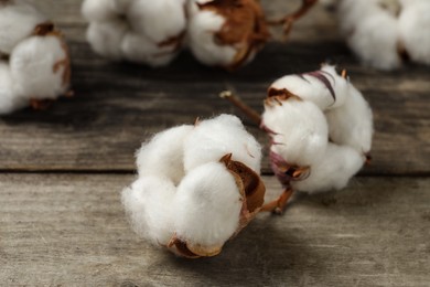 Photo of Fluffy cotton flowers on wooden table, closeup