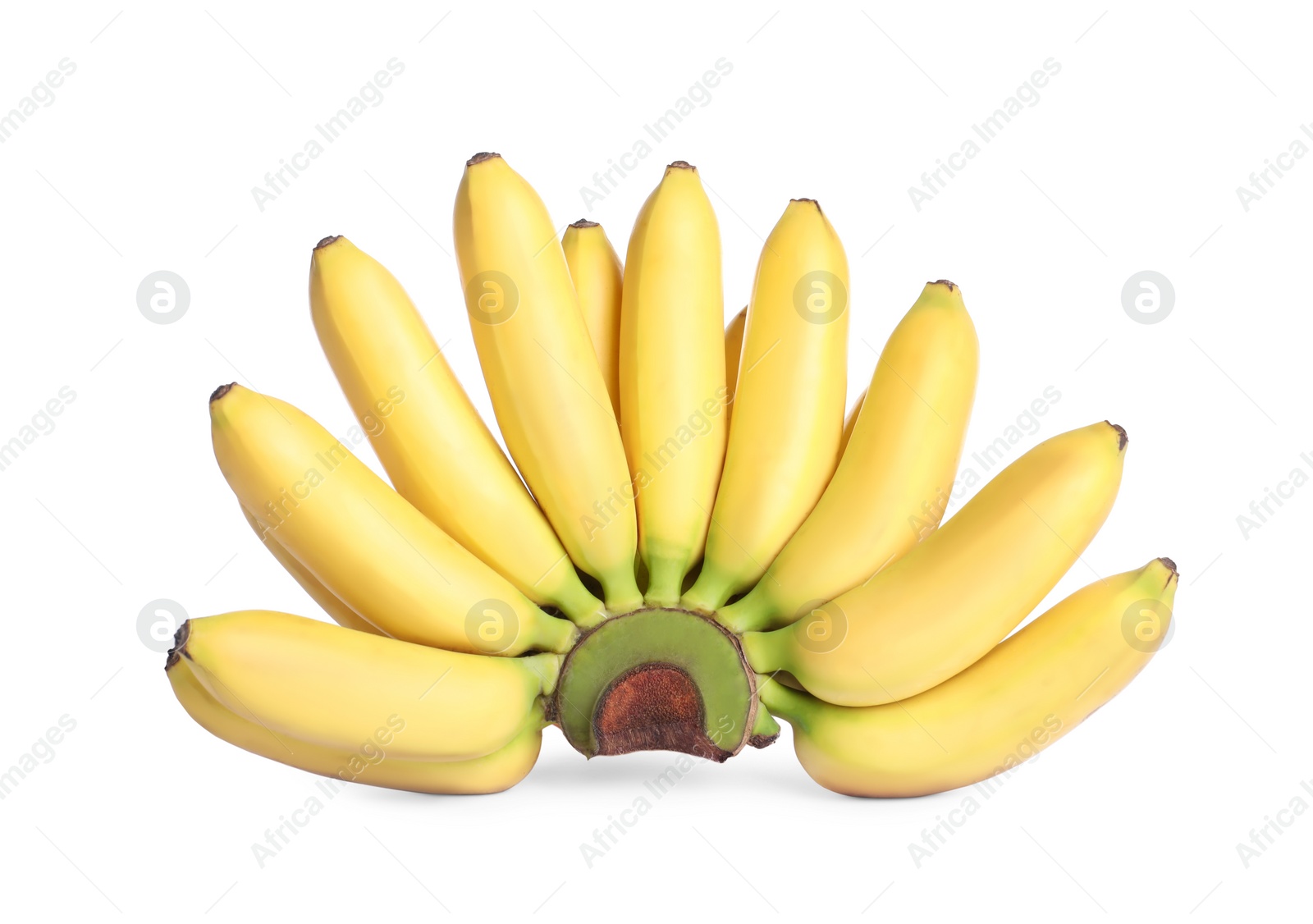 Photo of Bunch of ripe mini bananas on white background. Exotic fruit