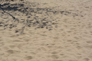 Photo of Shadow of tree on beach sand during sunny day