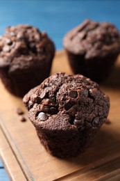 Photo of Delicious chocolate muffins on blue table, closeup