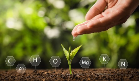 Image of Illustration of chemical elements and woman pouring water on young seedling in soil against blurred background, closeup