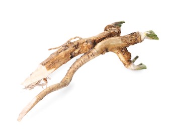 Photo of Two fresh horseradish roots isolated on white, top view
