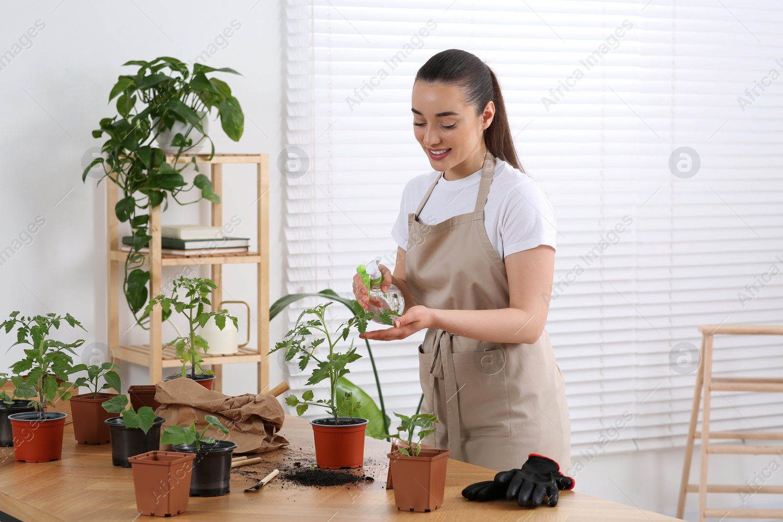 Photo of Happy woman spraying seedling in pot at wooden table in room