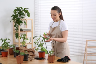 Happy woman spraying seedling in pot at wooden table in room