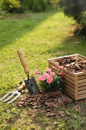 Photo of Bark chips in wooden box, fork and trowel near beautiful mulched flowers in garden, space for text