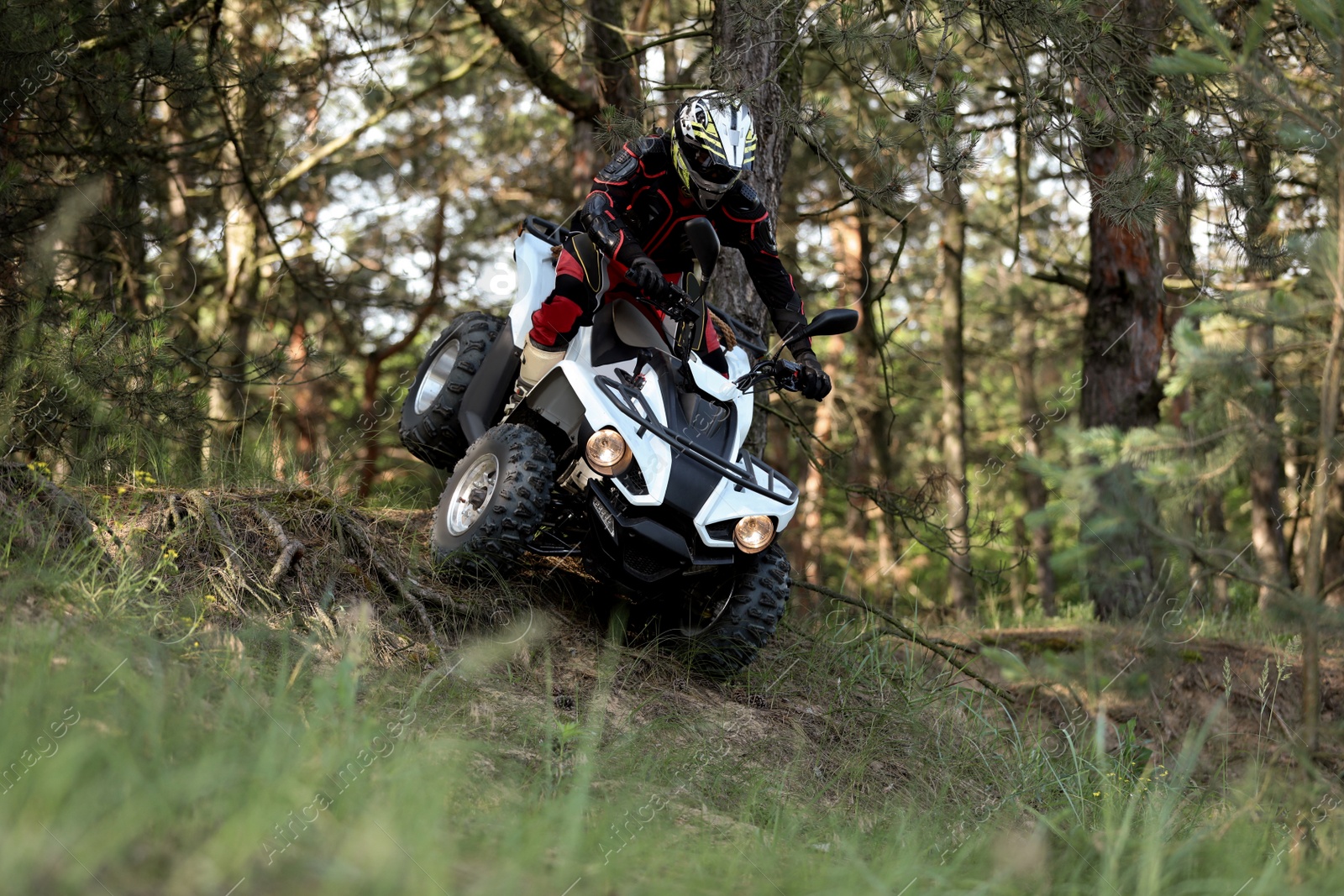 Photo of Man driving modern quad bike in forest. Extreme sport