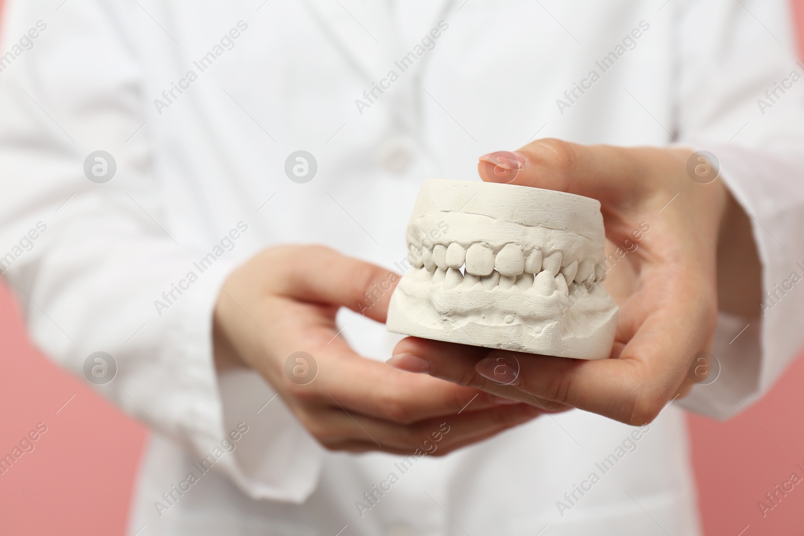 Photo of Doctor holding dental model with jaws on pink background, selective focus. Cast of teeth